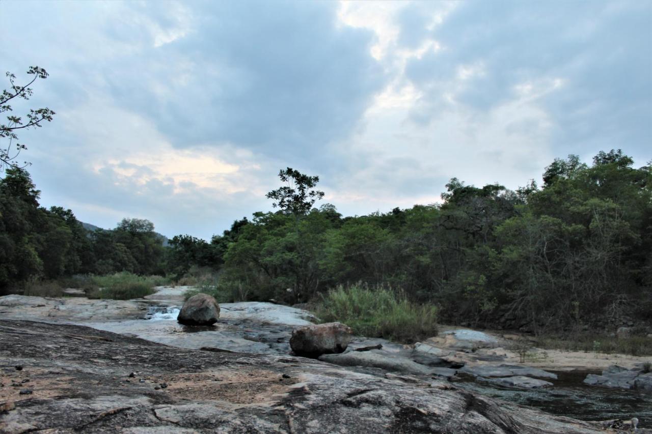 Lions Rock Rapids - Lodge Хейзивю Екстериор снимка