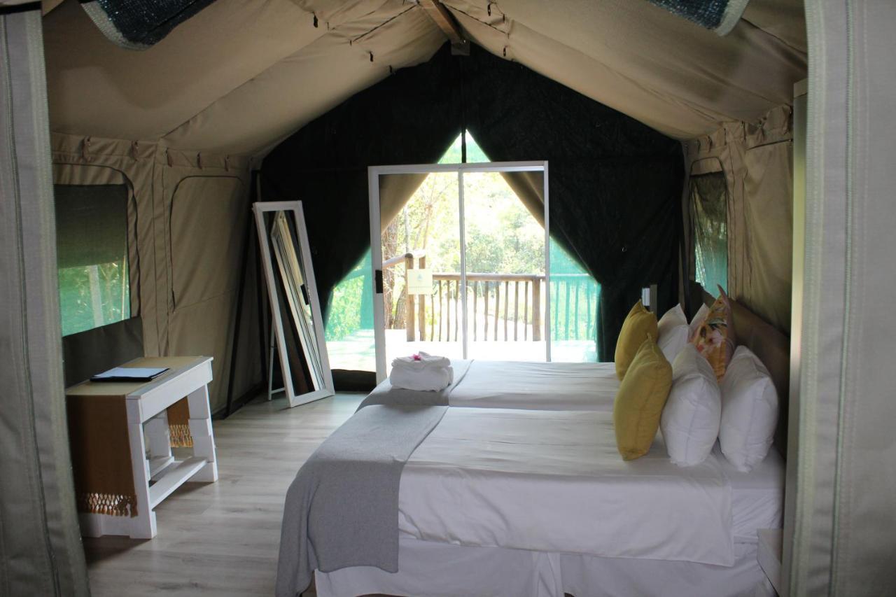 Lions Rock Rapids - Lodge Хейзивю Екстериор снимка